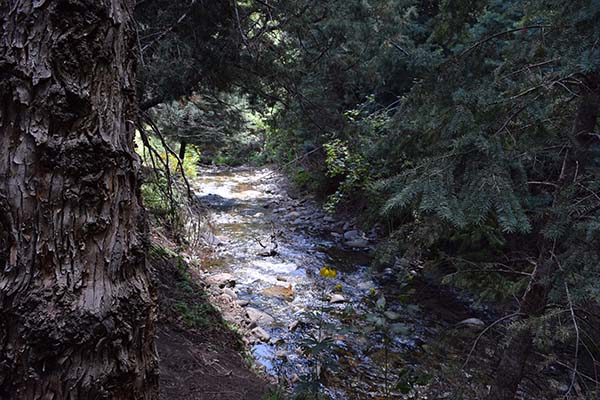 hayden creek