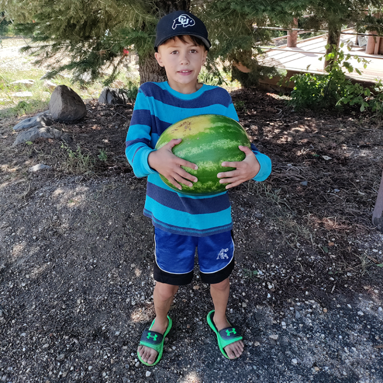 Gallery – Cutty's Hayden Creek Resort