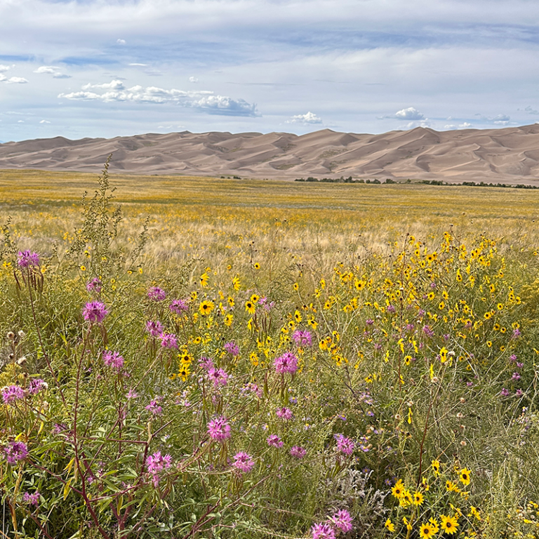Gallery – Cutty's Hayden Creek Resort