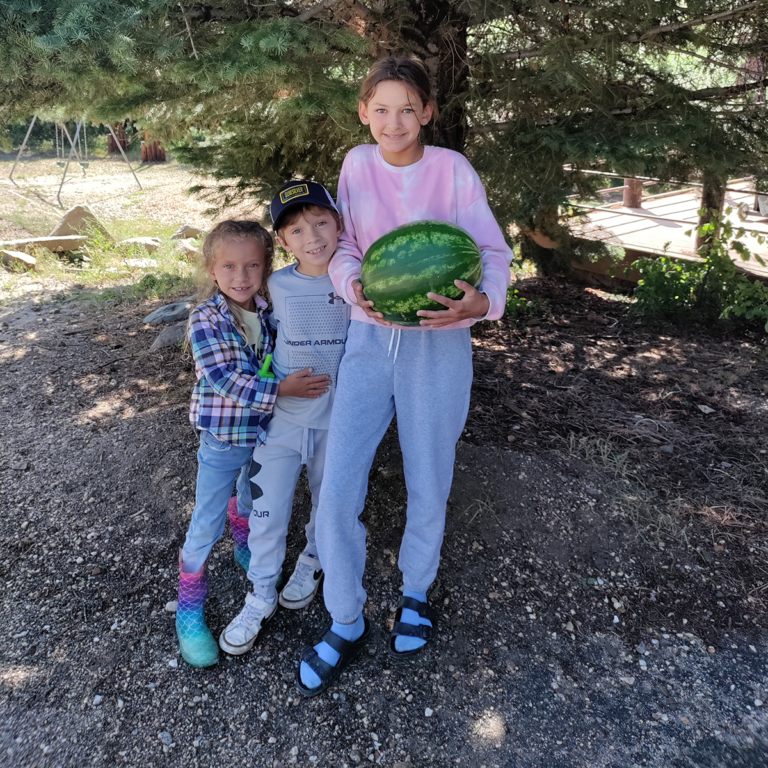 Gallery – Cutty's Hayden Creek Resort